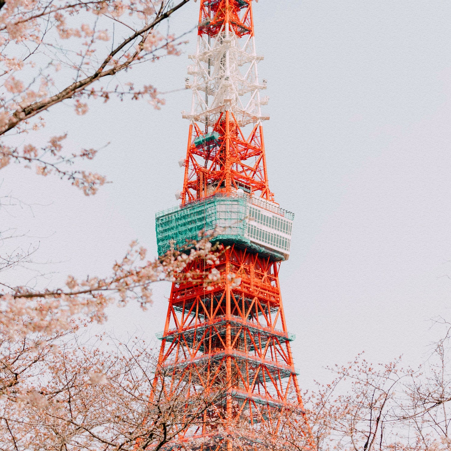 日本 上網卡